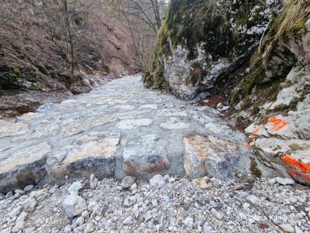 Kamniška Bistrica (8)